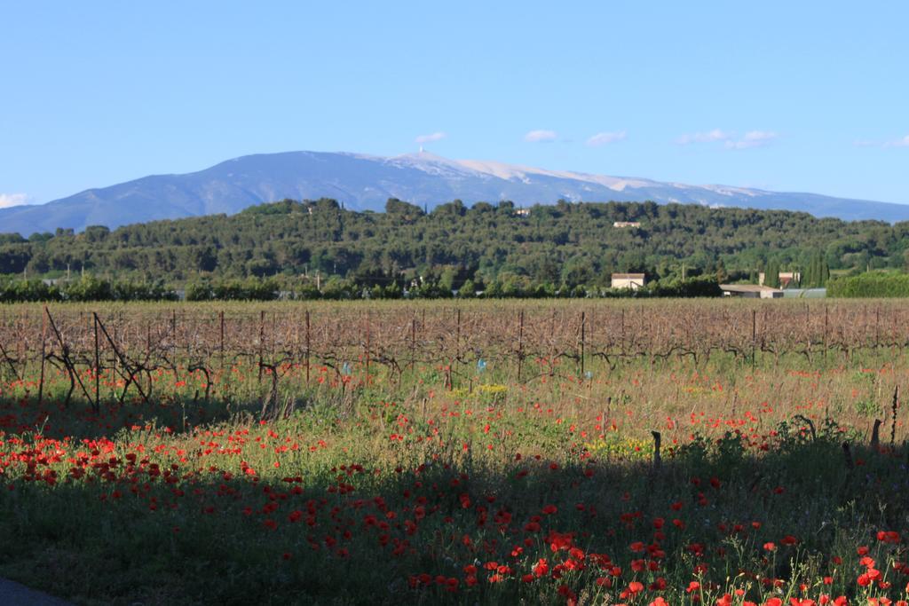 Gîte Les Feuilles de Chêne Carpentras Exterior foto